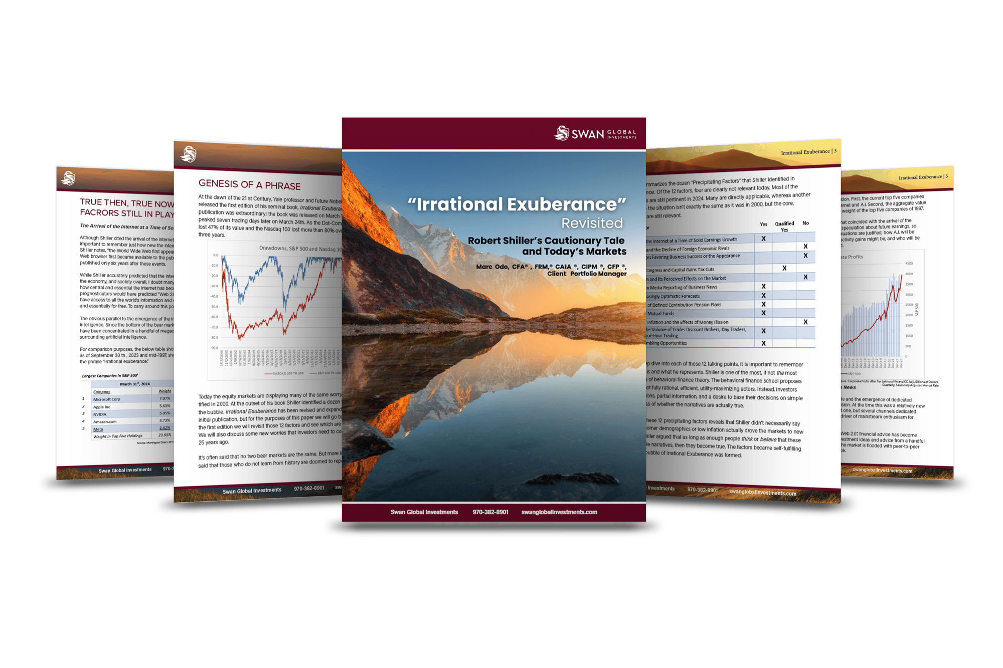 Irrational Exuberance PDF Mockup Image